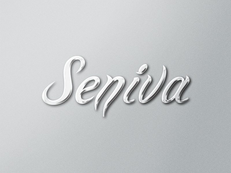 Seniva - Logo Type Design